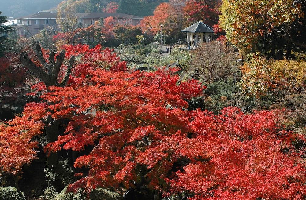 Suikoukan Hakone Zewnętrze zdjęcie