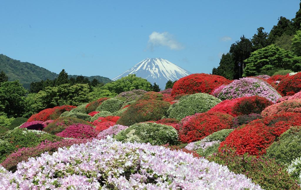Suikoukan Hakone Zewnętrze zdjęcie
